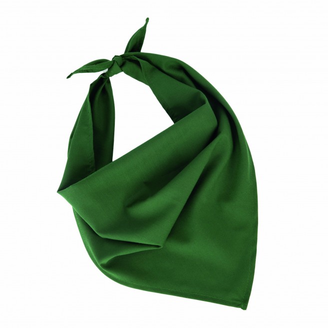 Foulard - bandana Fiest Foulard - bandana Fiest