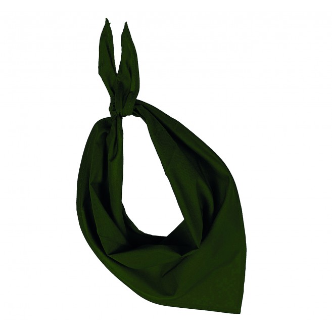 Foulard - bandana Fiest Foulard - bandana Fiest