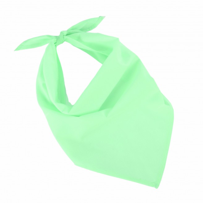 Foulard - bandana Fiest Foulard - bandana Fiest