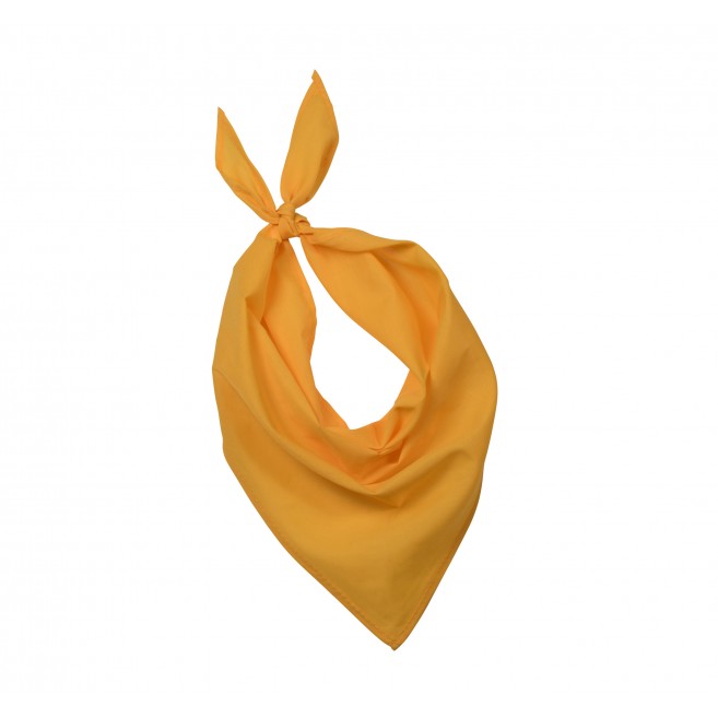 Foulard - bandana Fiest Foulard - bandana Fiest