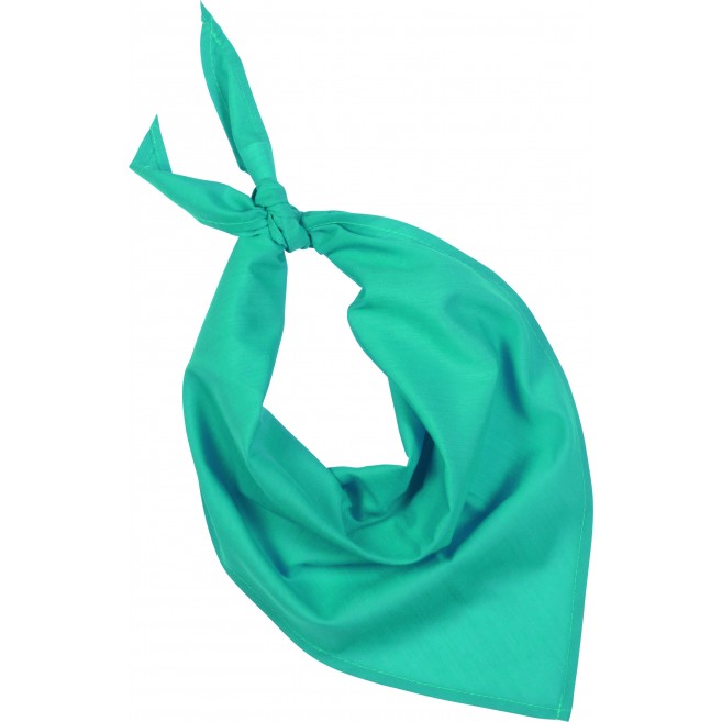 Foulard - bandana Fiest Foulard - bandana Fiest
