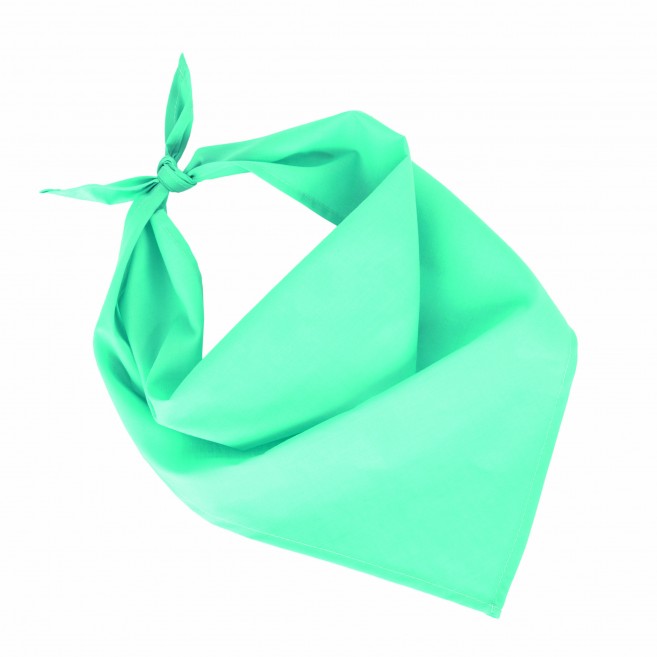 Foulard - bandana Fiest Foulard - bandana Fiest