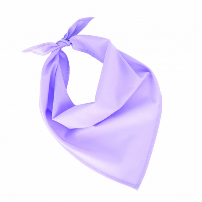 Foulard - bandana Fiest Foulard - bandana Fiest