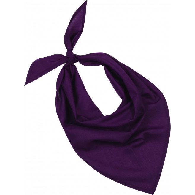 Foulard - bandana Fiest Foulard - bandana Fiest