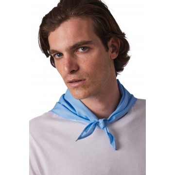 Foulard - bandana Fiest