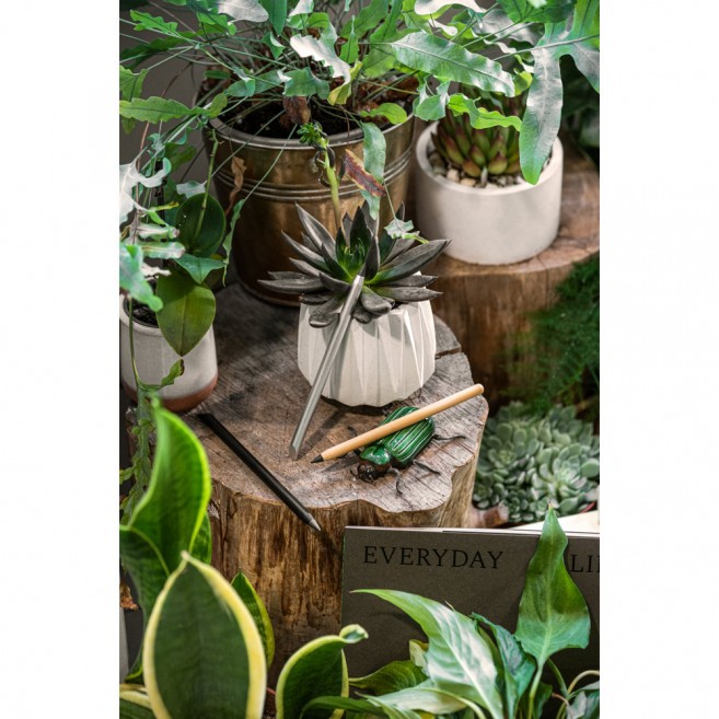 Stylo Écologique en Bambou  | Infini