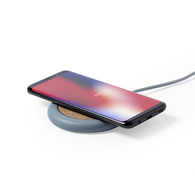Chargeur Normax