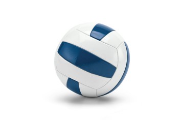 Ballon de volley-ball